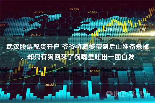 武汉股票配资开户 爷爷将藏獒带到后山准备杀掉，却只有狗回来了狗嘴里吐出一团白发