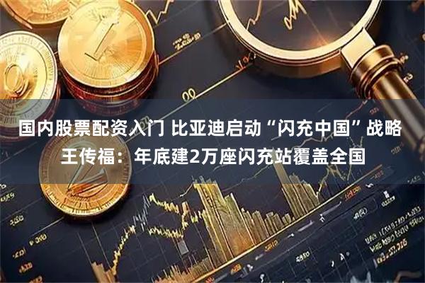 国内股票配资入门 比亚迪启动“闪充中国”战略 王传福：年底建2万座闪充站覆盖全国